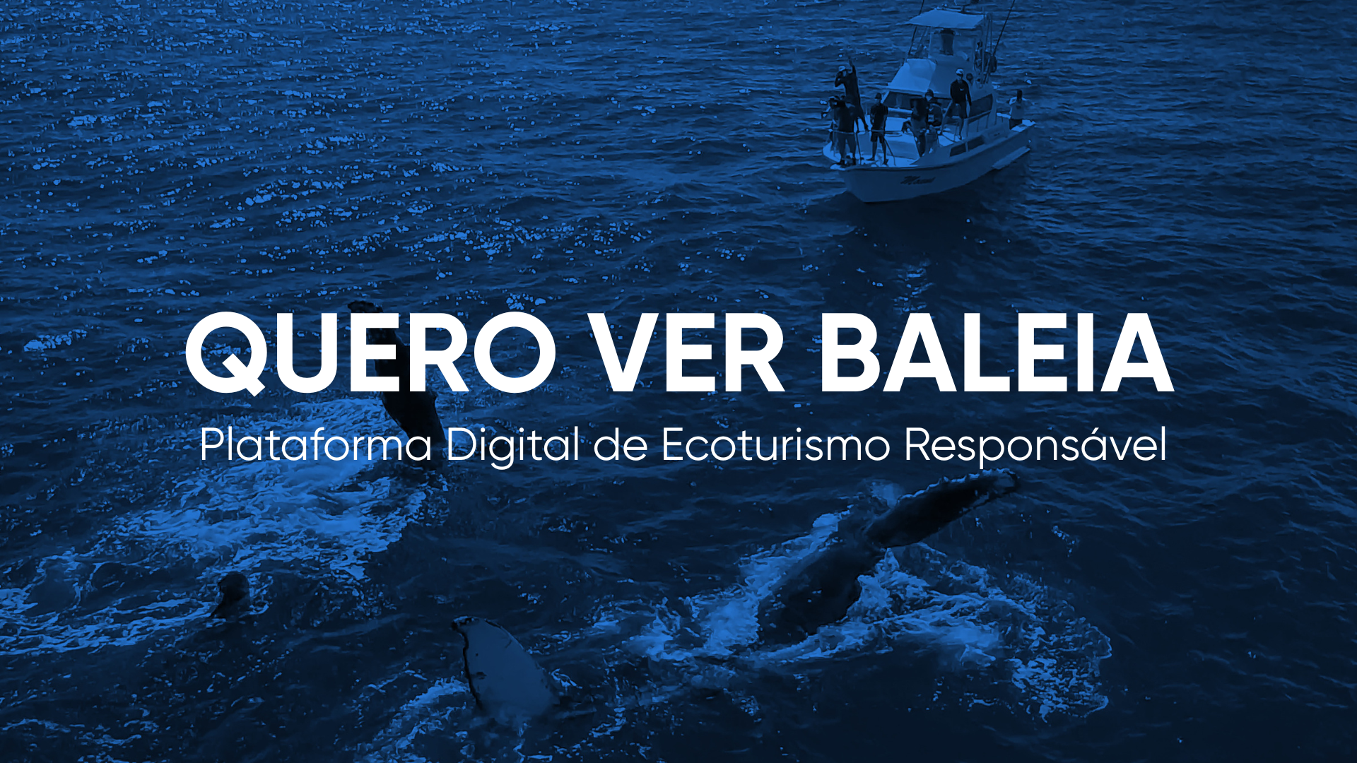 Bem-vindo ao Quero Ver Baleia: experiências que conectam pessoas a destinos